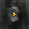 yousef.kamel.emam