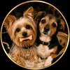 tinydogsbiglove