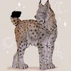 katkienia4
