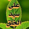 user4852578662692