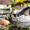 theaquascapeking