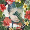 tamerfarouk042