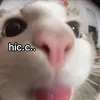 01.2343