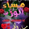 ali.ali8607