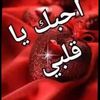 user4432842779688