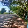 josu_xz6