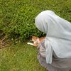 pipitlina_