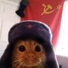 fort_tiktok7