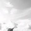 divogblk_