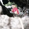 dilennn_10