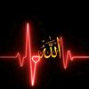 rida_officiel60