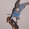 biologybird