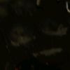 username149com