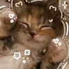 theycalledmechorls
