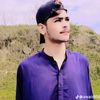 awais81246