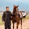 chenarfarhad7