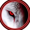 wolfsblood70