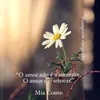 joseliamedina0