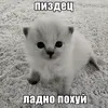 real.vlad0s