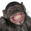 imfamousmonkey