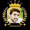 messaoudi_prof