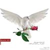user1670368236192