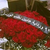 maha.ahmed721