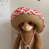 a_sloth_and_a_sombrero