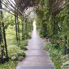 larisa_b1809