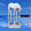 myp09942sel