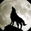 user5710612880006