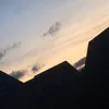 delilah_756