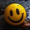 user8610581339251