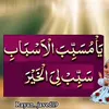 m.shahzainsaj