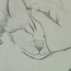 yesy_arriola.503