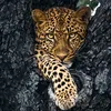 reehna.98