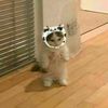 jeonghann__yoon