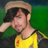 shahzebkhan4490