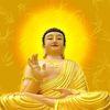 tham.bui078