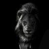 eren_2212_