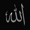 _.islamic_videos_