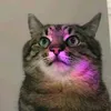 vocenaosabequemeusou7