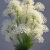 ahmad.sohail4