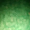felii_222