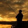hobymancing100