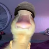 iranntjxx