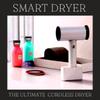 smartdryer356