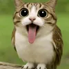 vitalik_whoiam