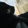the_blackestwatermelon