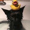 la_esquizofrenica07